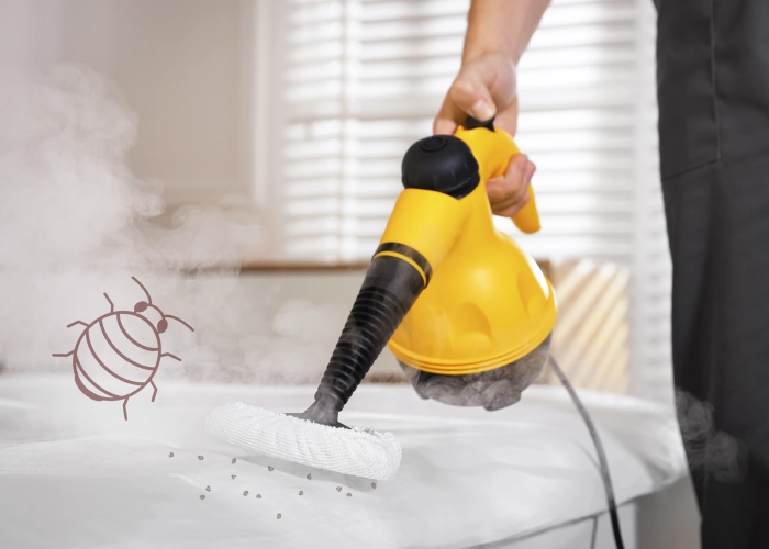 Tratamiento contra chinches en _VILLE _CP